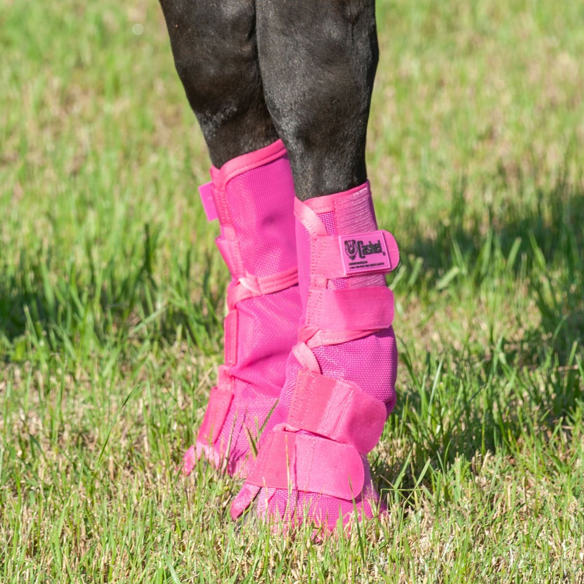 Cashel – Crusader Horse Fly Boots Contoured Fit Leg Guards, Set of 2