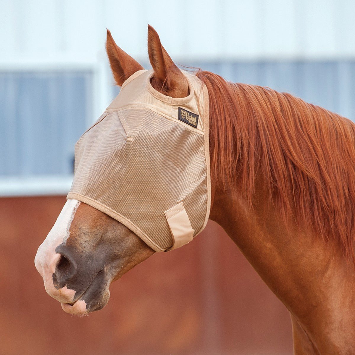 Cashel – Econo Fly Mask Without Ears, Gold Lightweight Horse Fly Protection
