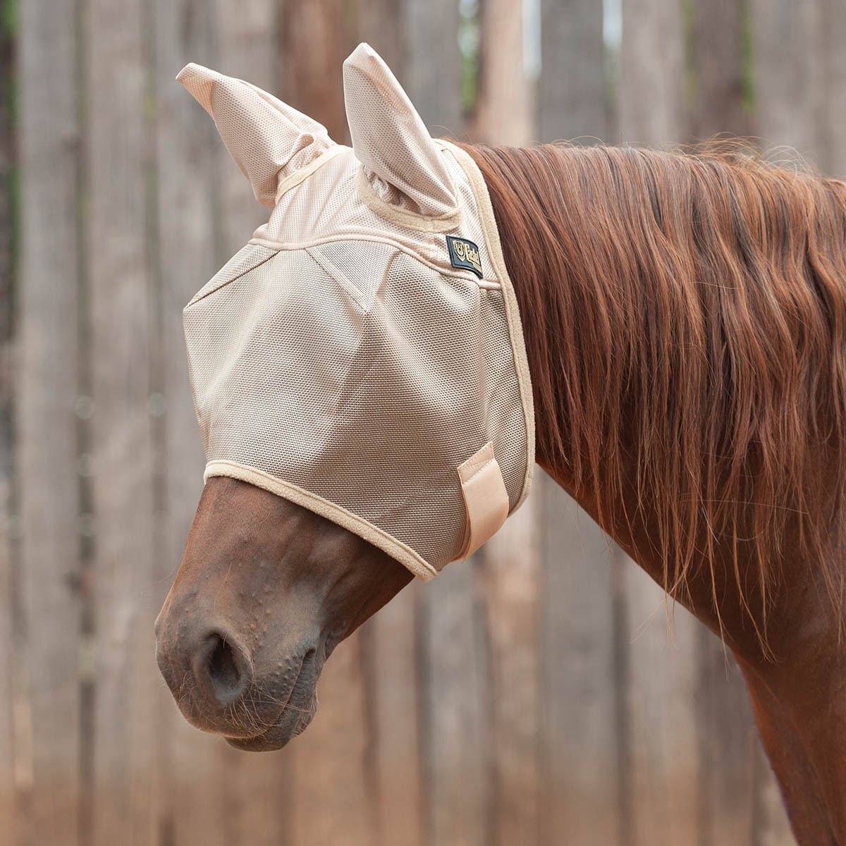Cashel – Economy Fly Mask with Ears, Gold