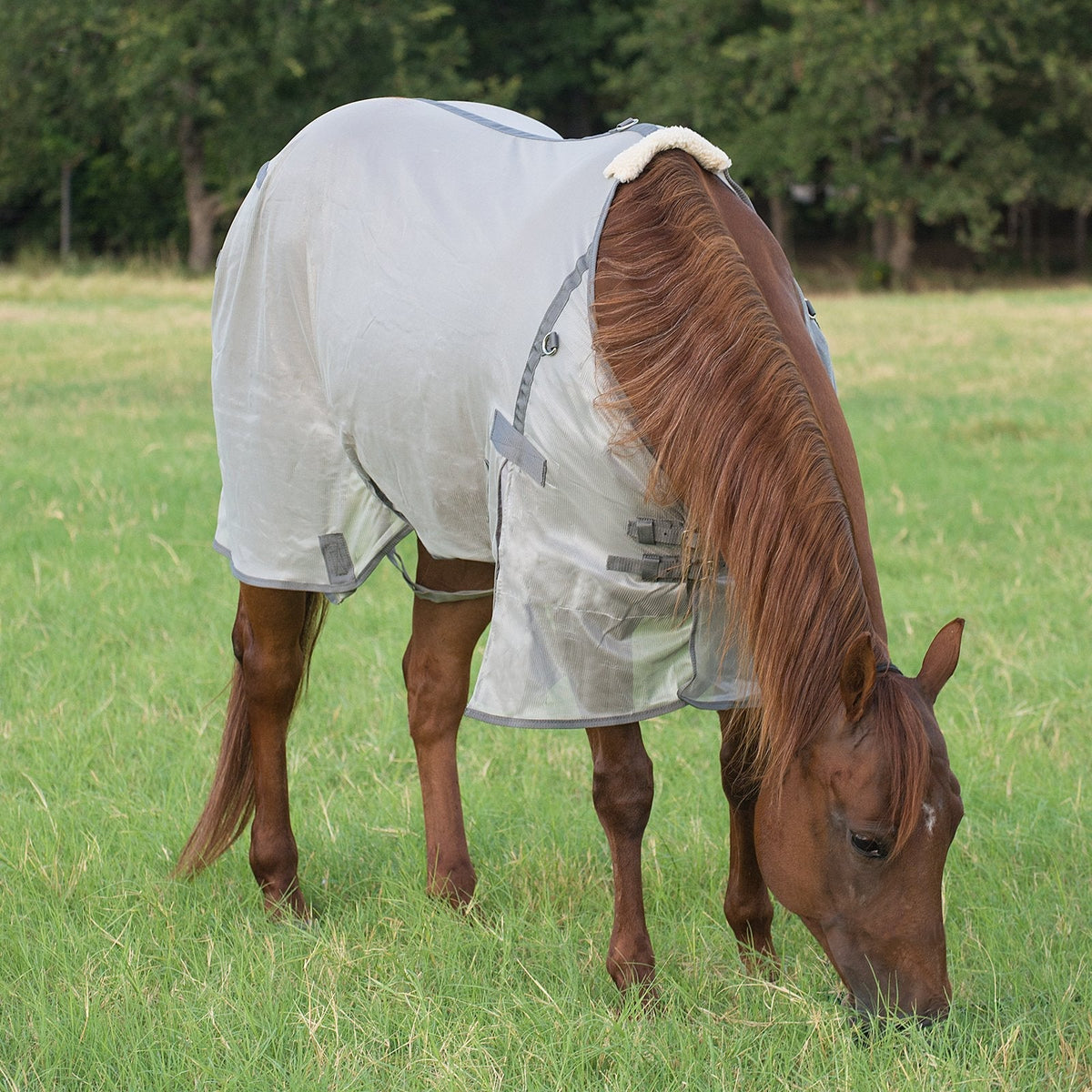 Cashel – Economy Standard Neck Fly Sheet for Horses - Lightweight, UV & Insect Protection
