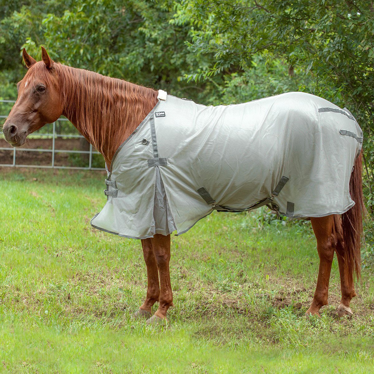 Cashel – Economy Standard Neck Fly Sheet for Horses - Lightweight, UV & Insect Protection