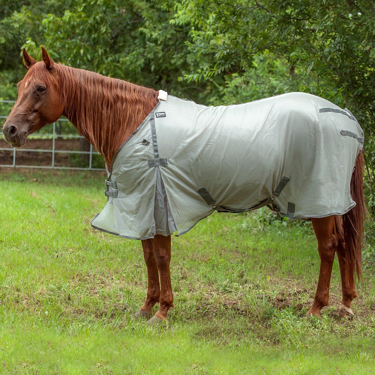 Cashel – Economy Standard Neck Fly Sheet for Horses - Lightweight, UV & Insect Protection