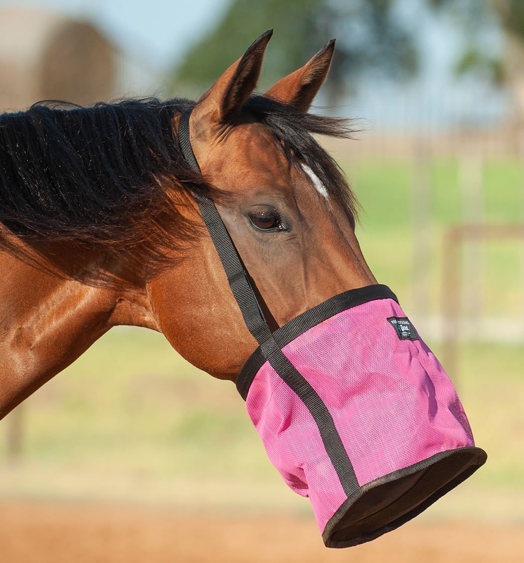 Cashel – Feed Rite Bag
