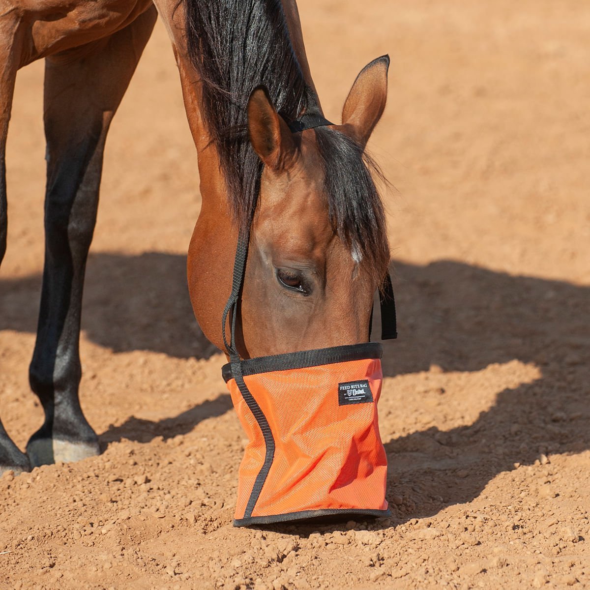 Cashel – Feed Rite Bag