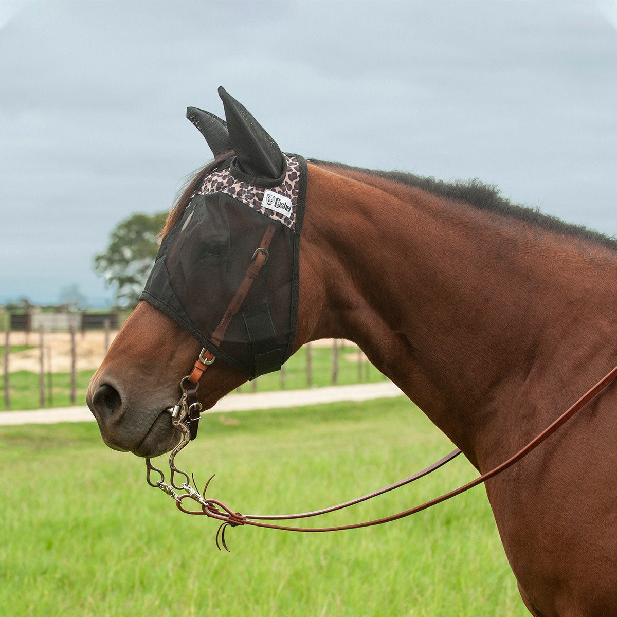 Cashel – Quiet Ride Fly Mask with Ears for Horses, Lightweight Riding Protection