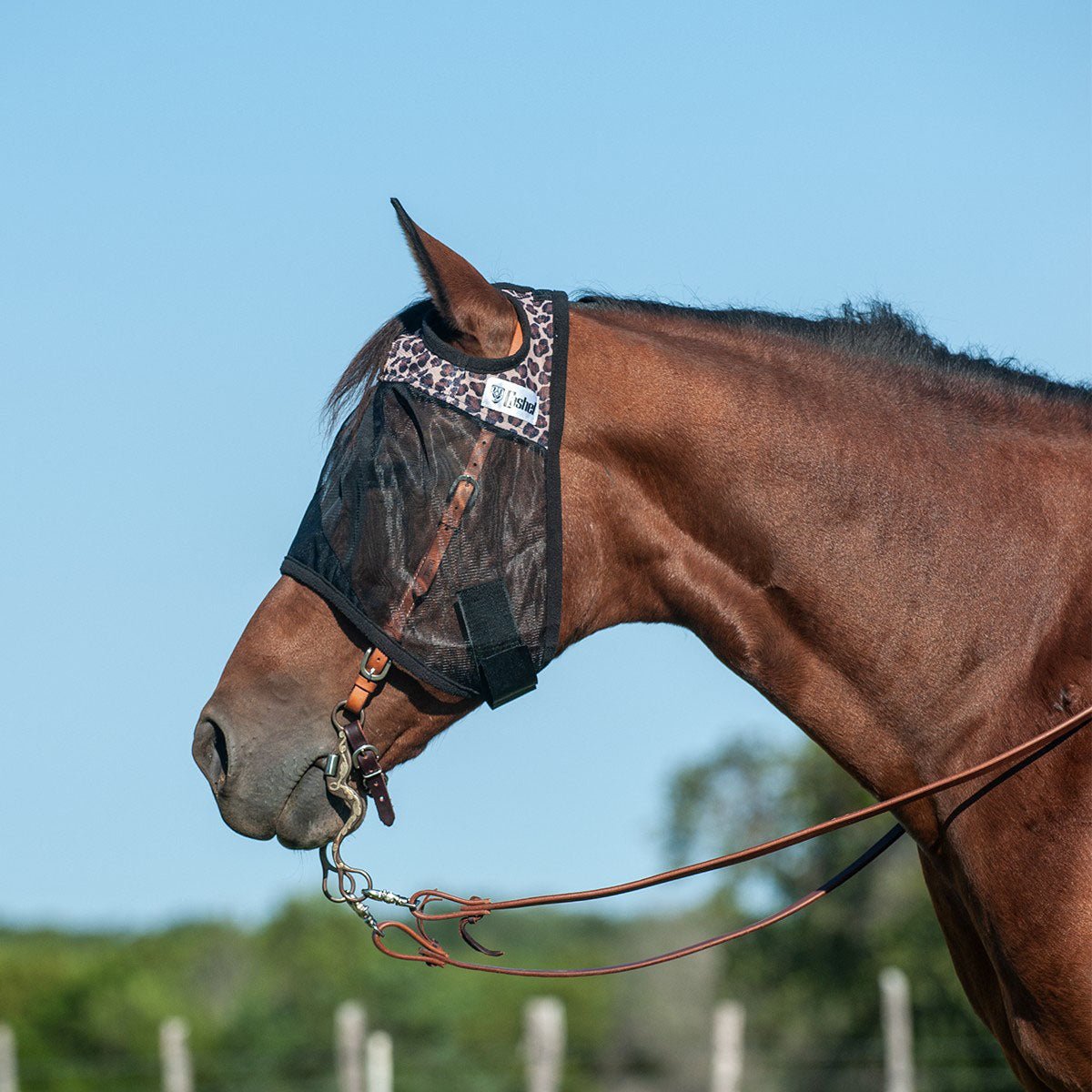 Cashel – Quiet Ride Horse Fly Mask for Insect Control & Protection