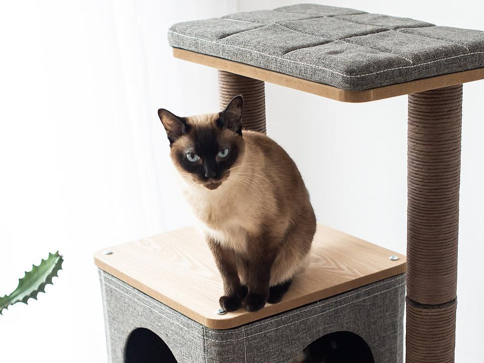 Elevate Wooden Medium Cat Tower