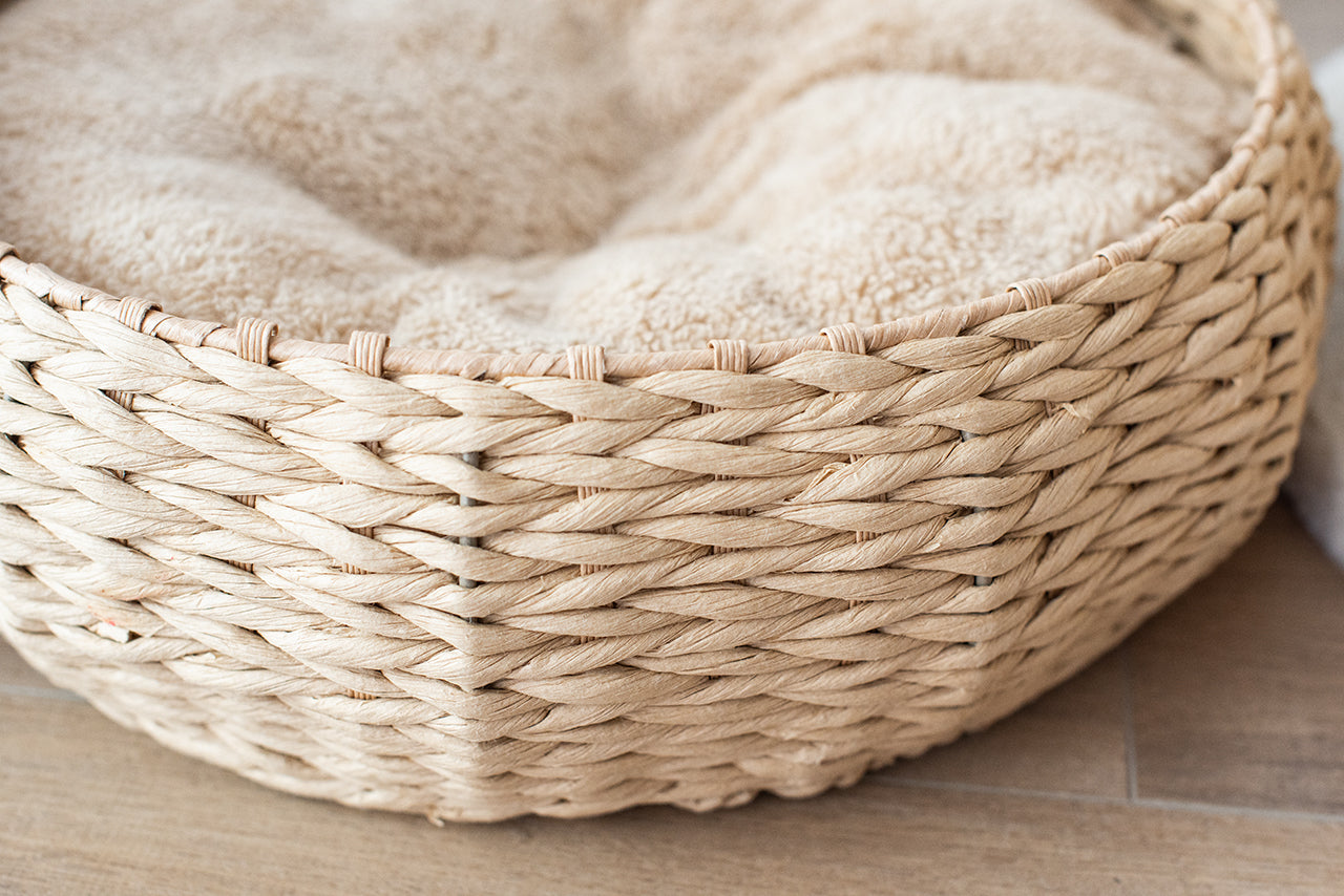 Cozy Nest