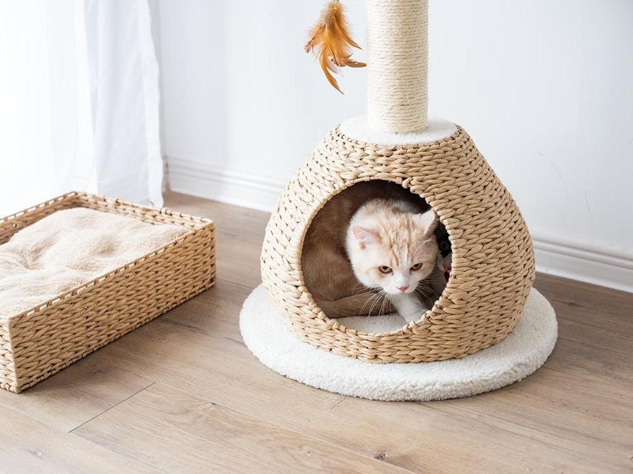 Walk Up Handwoven Eco-Friendly Small Cat Tower