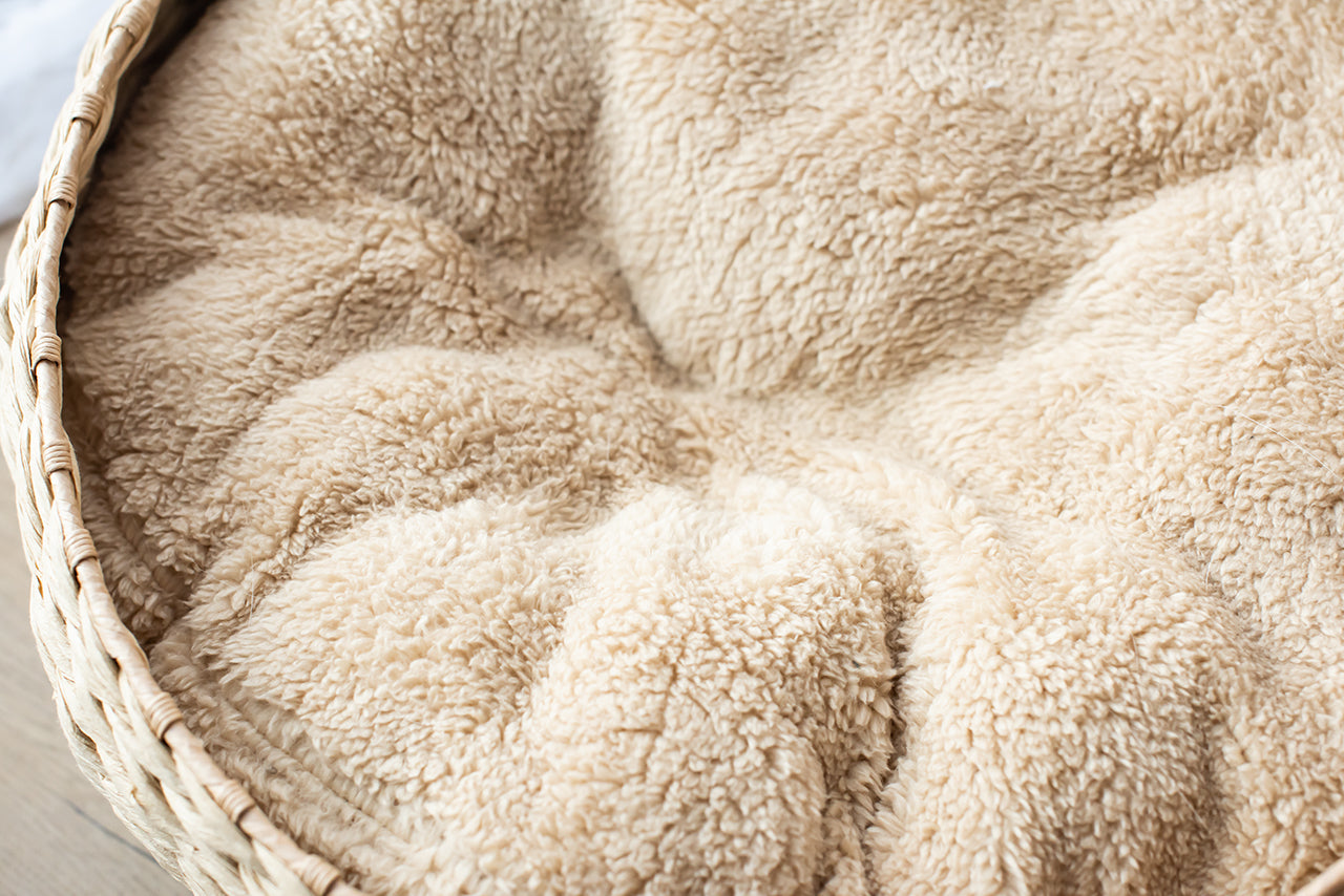 Cozy Nest