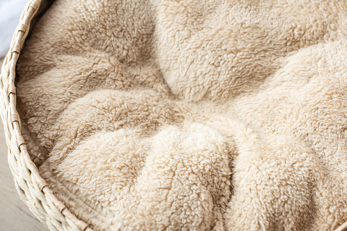 Cozy Nest