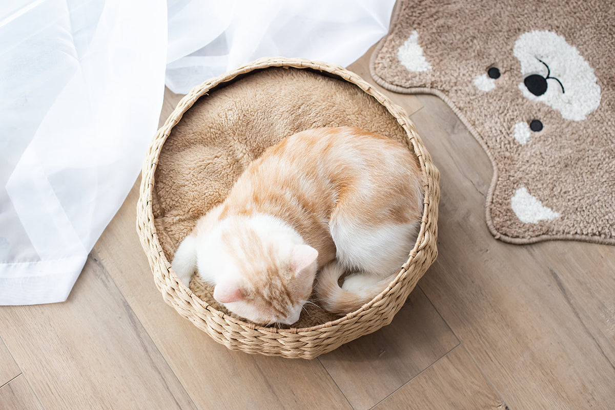 Cozy Nest