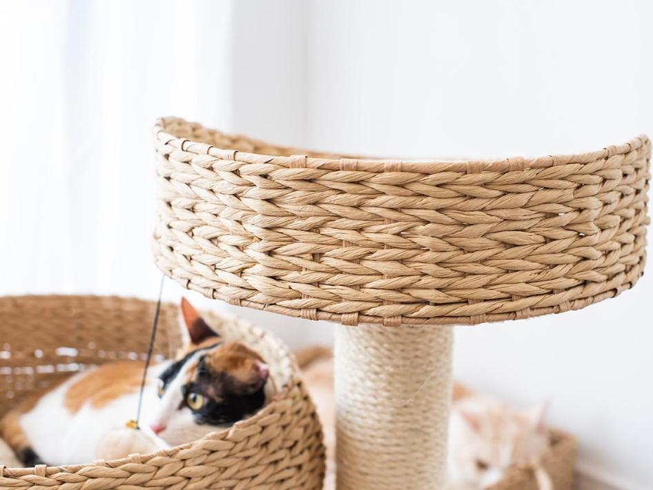 Cozy Handwoven Eco-Friendly Medium Cat Tree