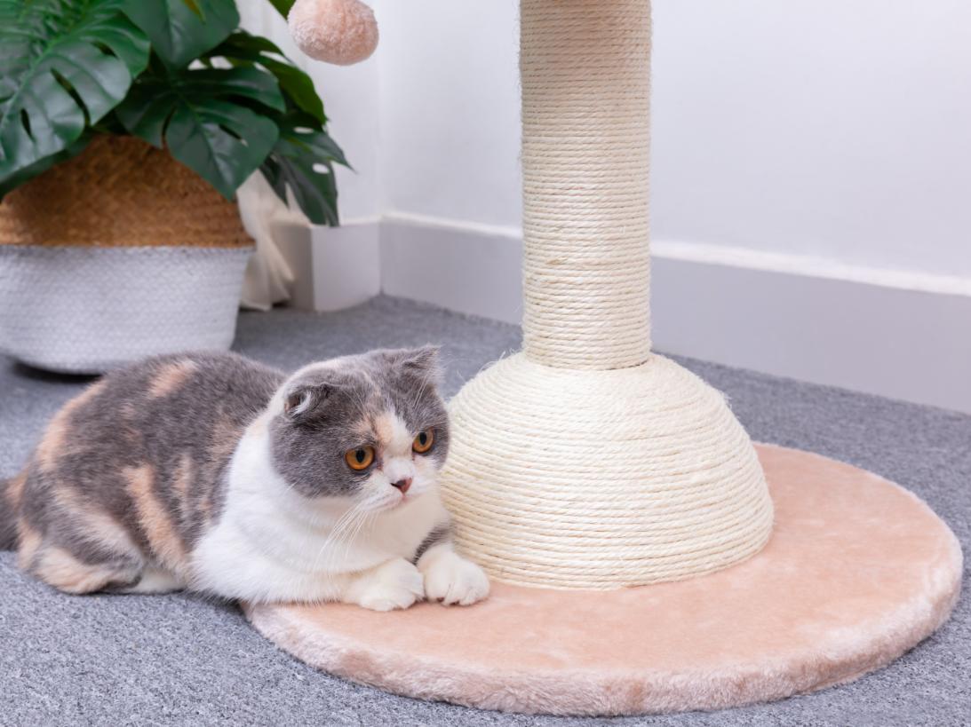 Lookout Natural Handwoven Cat Tree