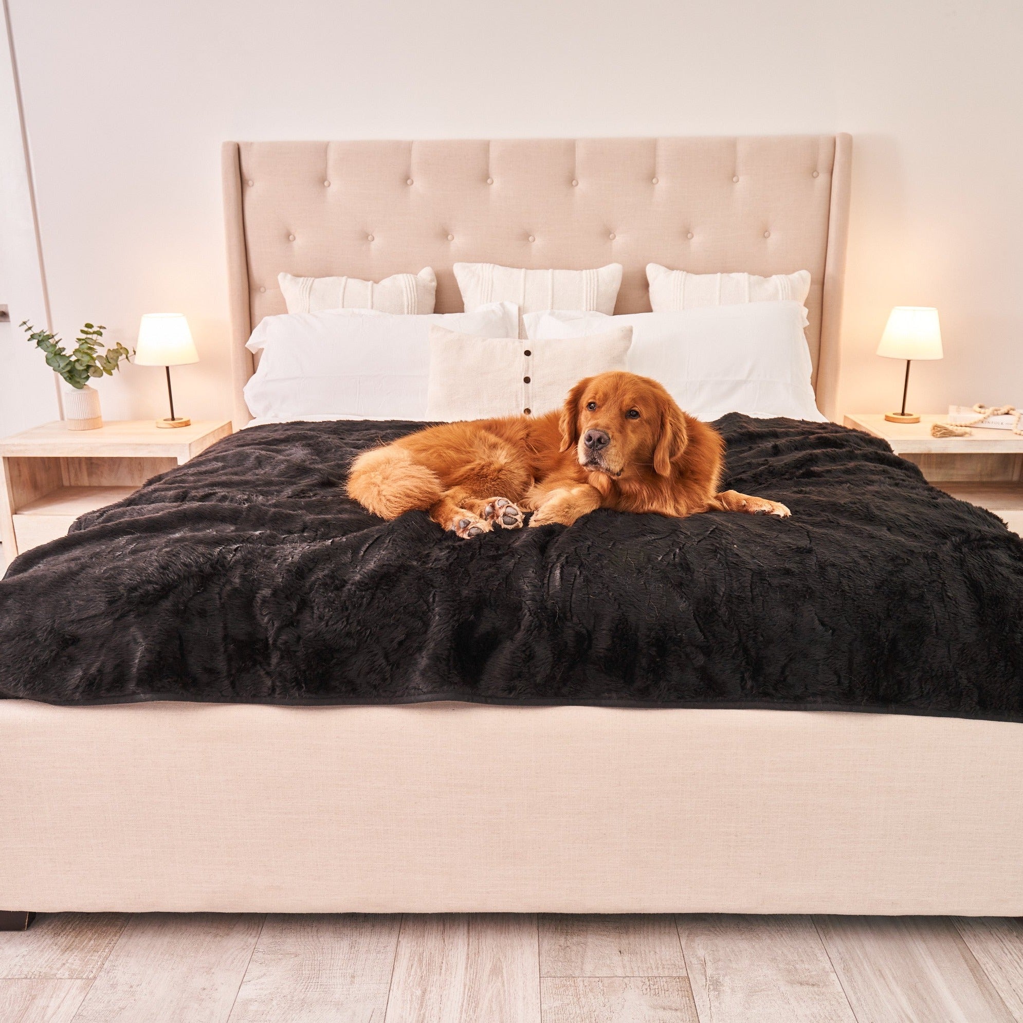 PupProtector Short Fur Waterproof Throw Blanket Midnight Black