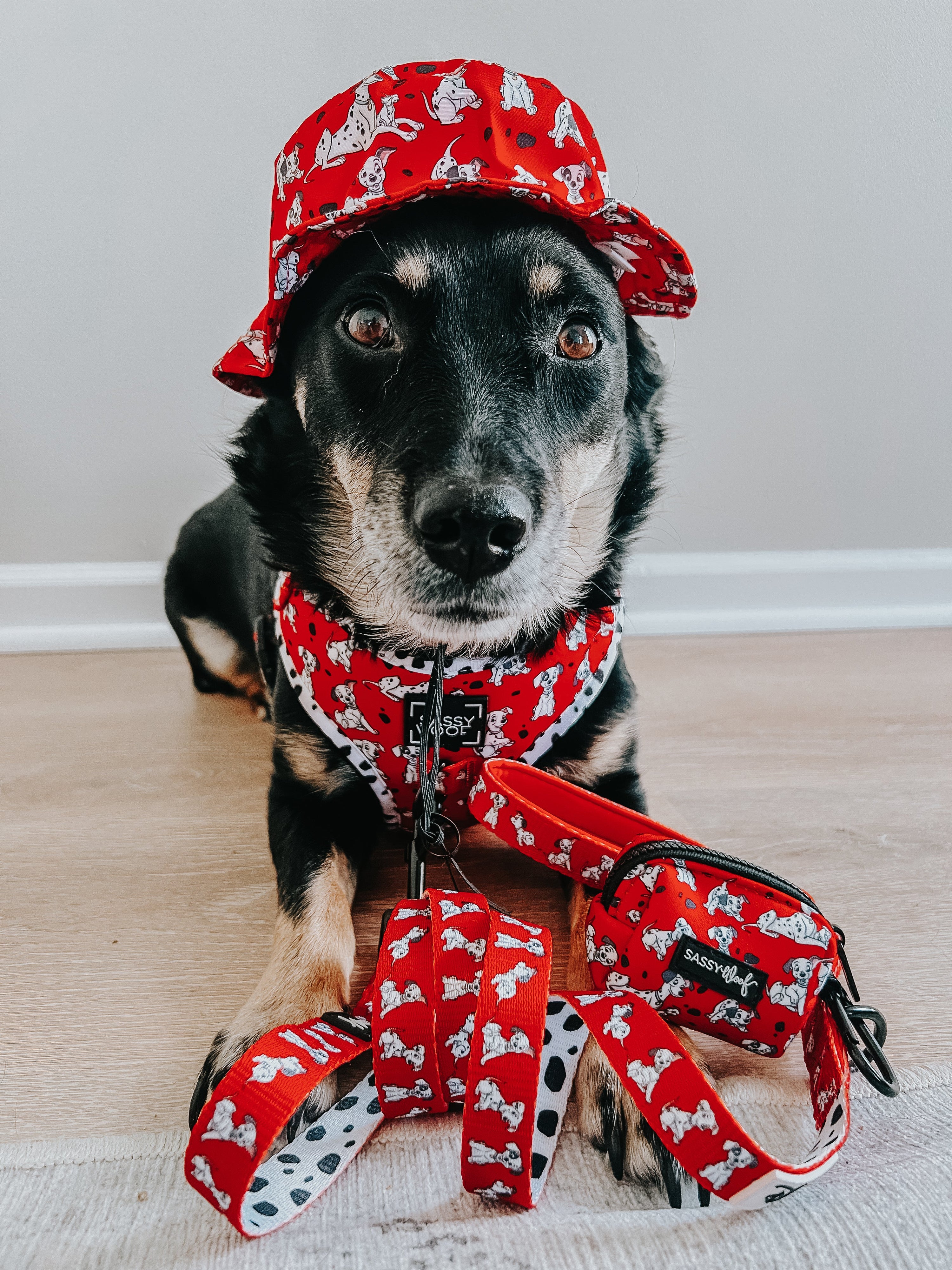 Dog Bucket Hat - Disneys 101 Dalmatians