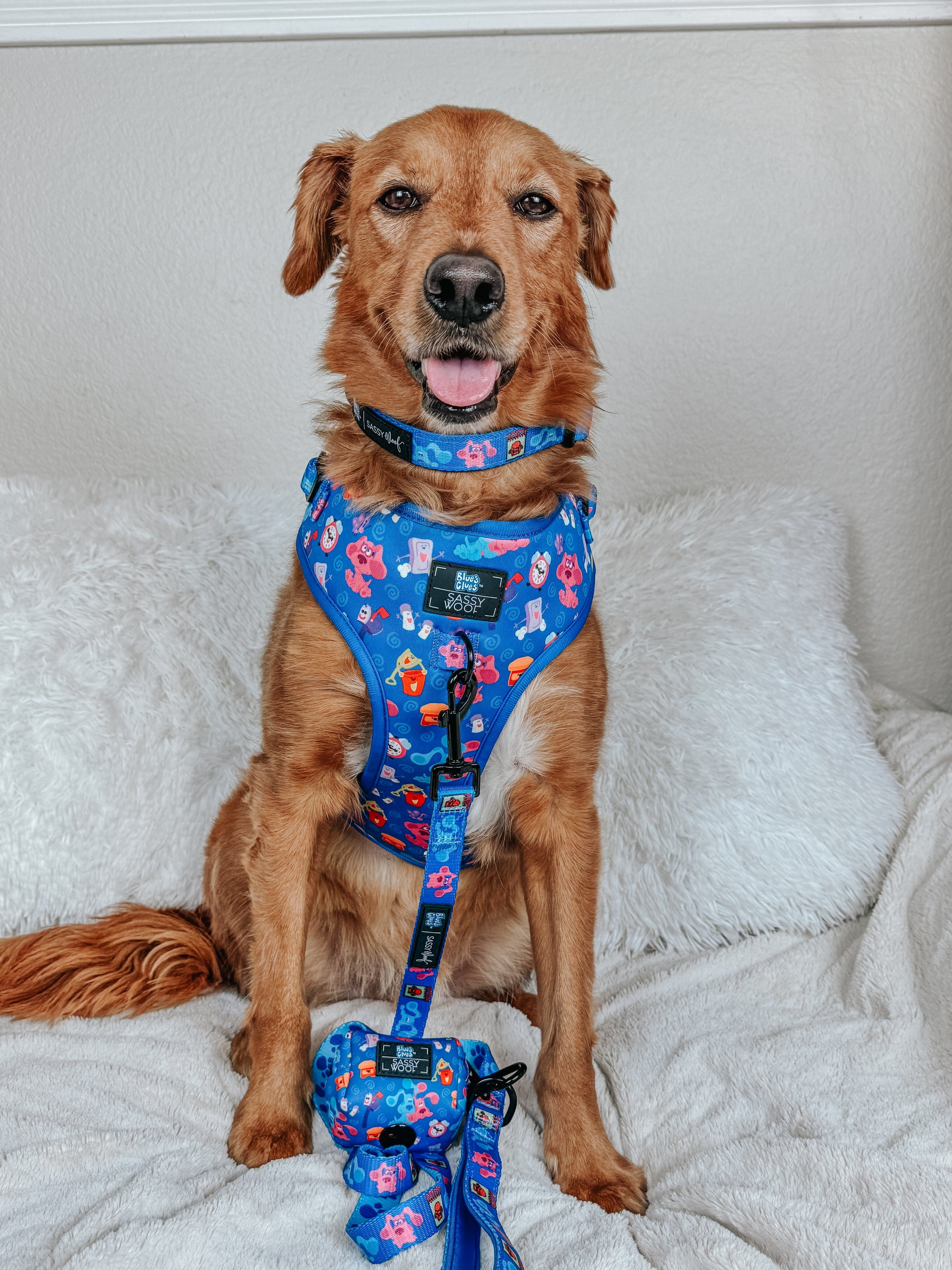 Dog Collar - Blues Clues™