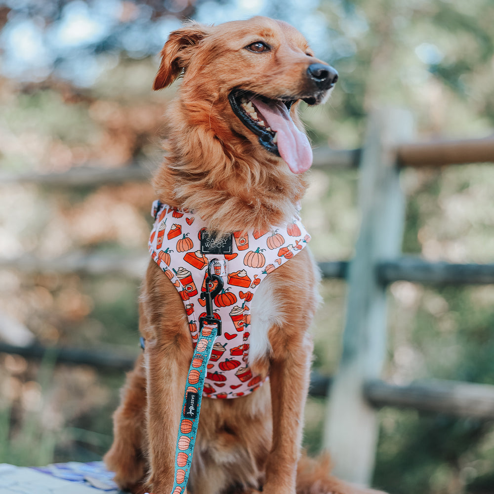 Dog Adjustable Harness - Pie There!