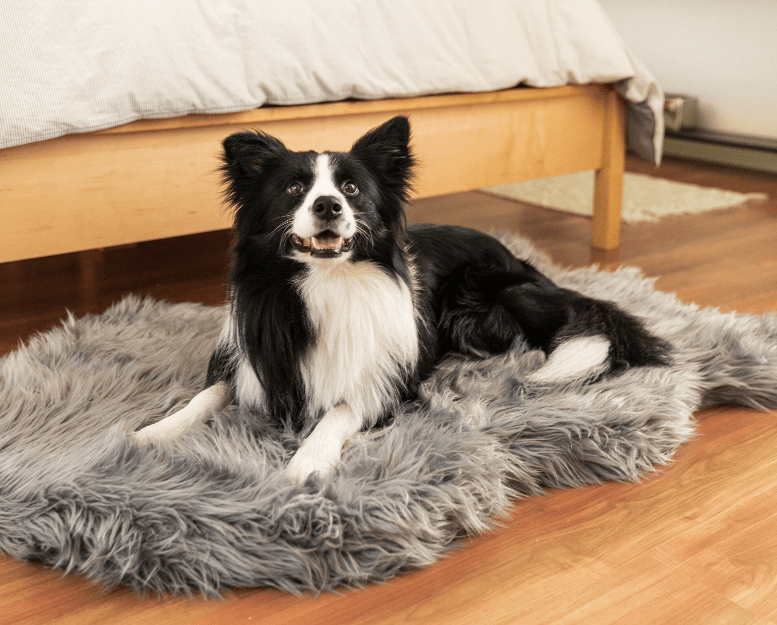 Puprug Faux Fur Orthopedic Dog Bed Curve Charcoal Grey