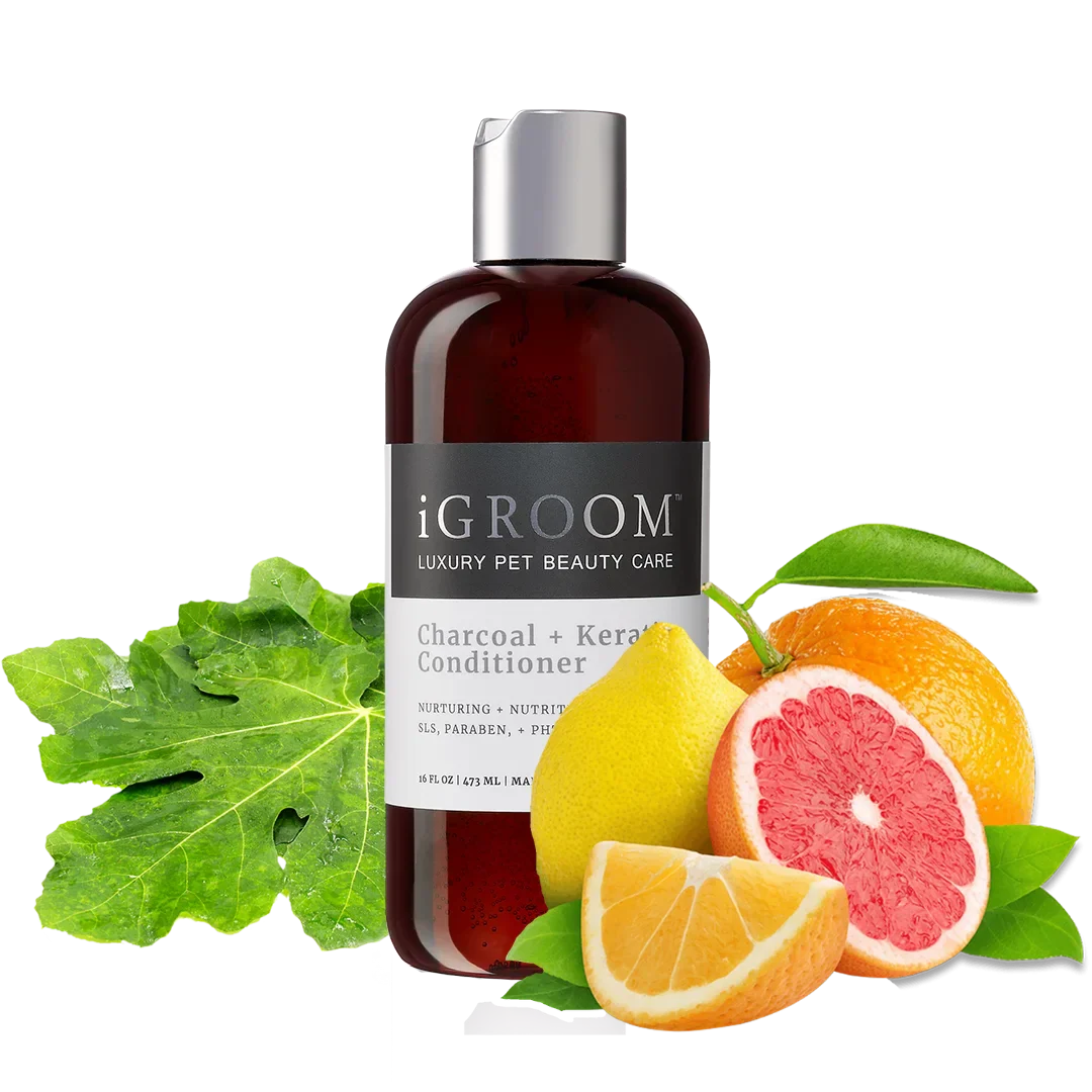 Charcoal and Keratin Conditioner 16oz by iGroom