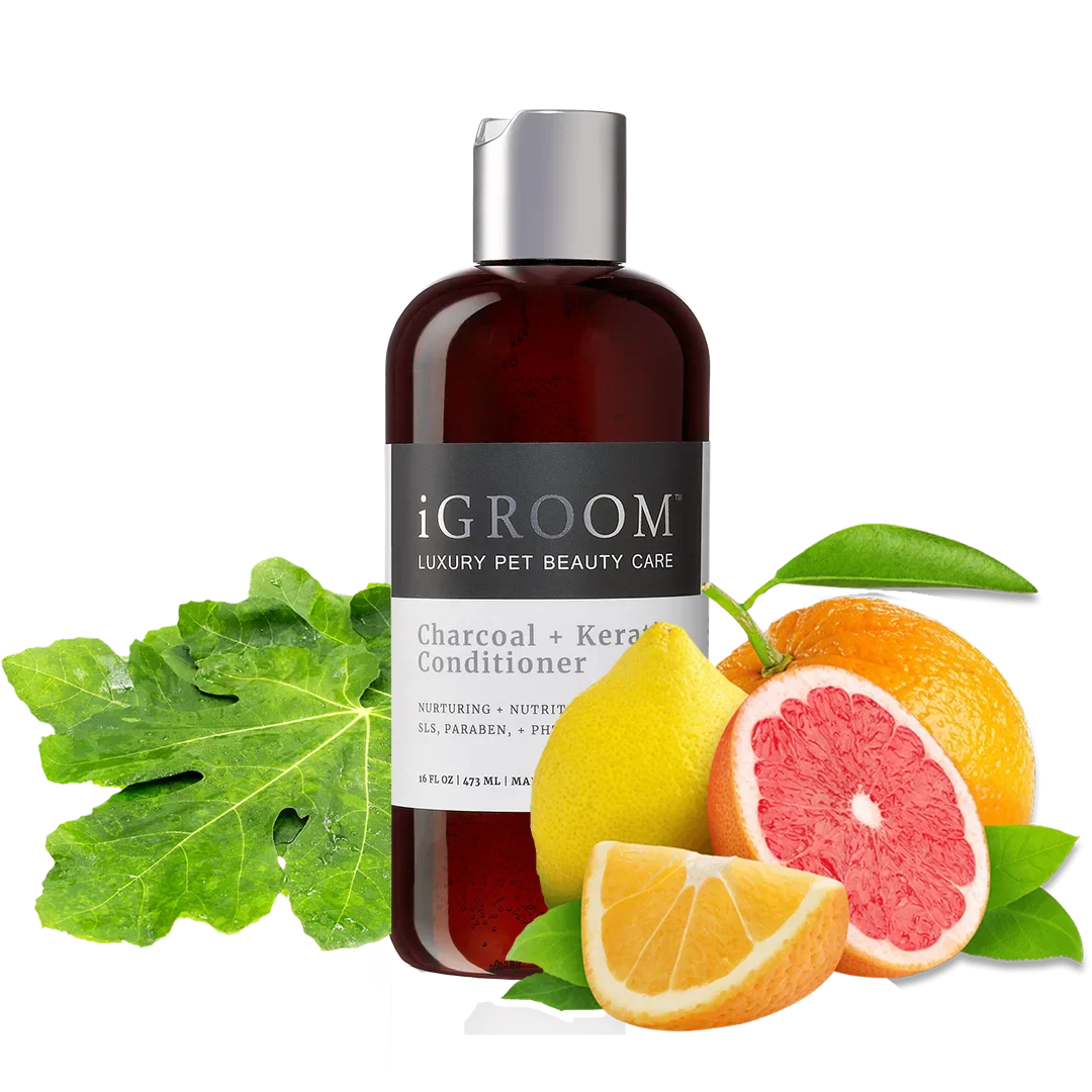 Charcoal and Keratin Shampoo 16oz by iGroom