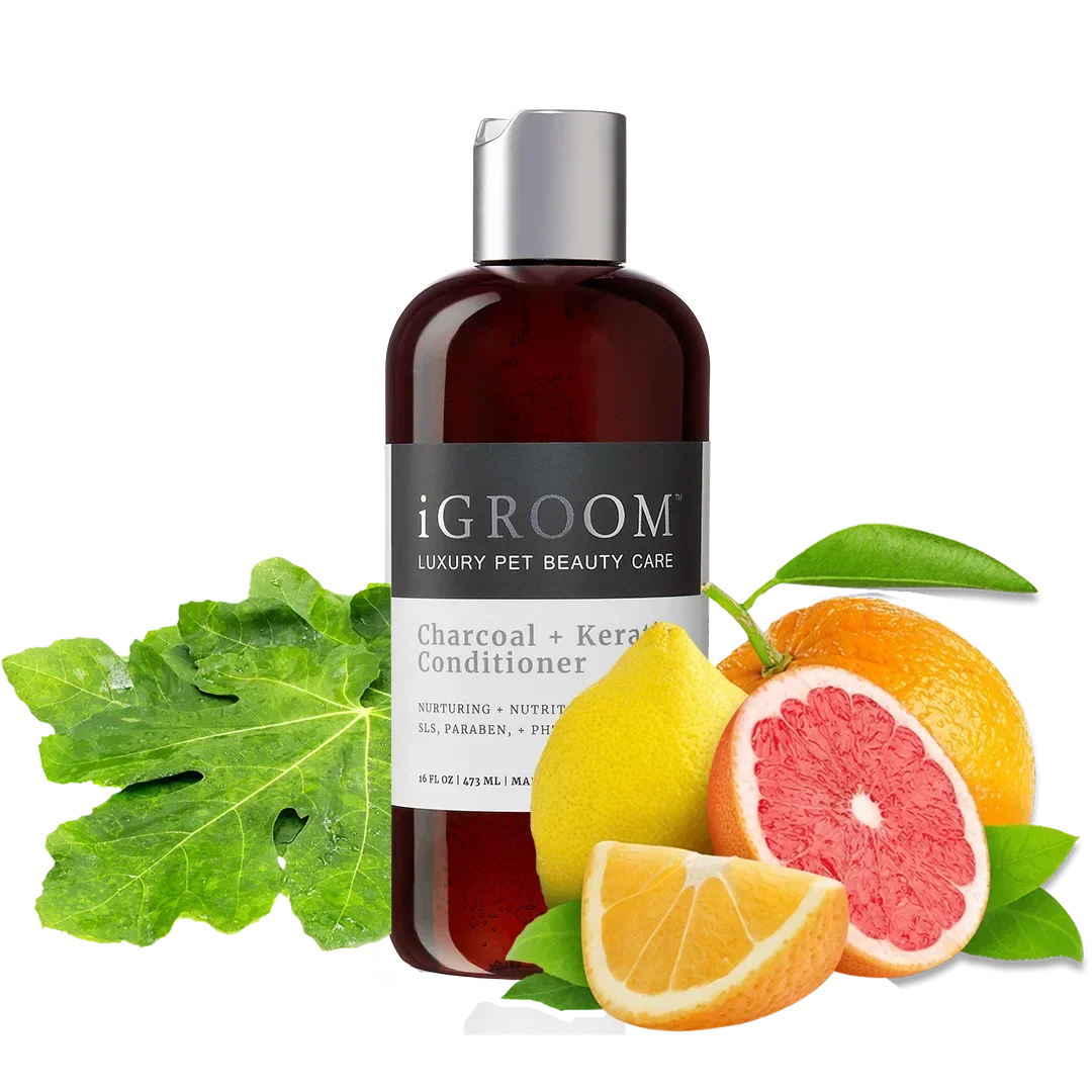 iGroom Charcoal and Keratin Shampoo 16oz