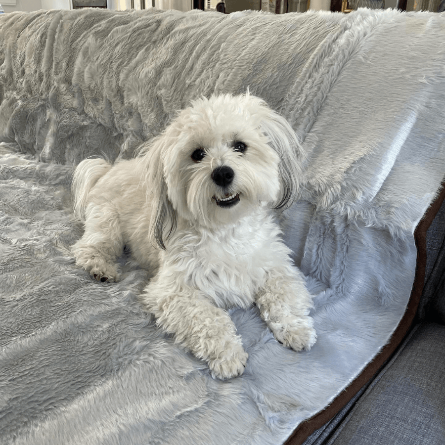 PupProtector Short Fur Waterproof Throw Blanket Grey