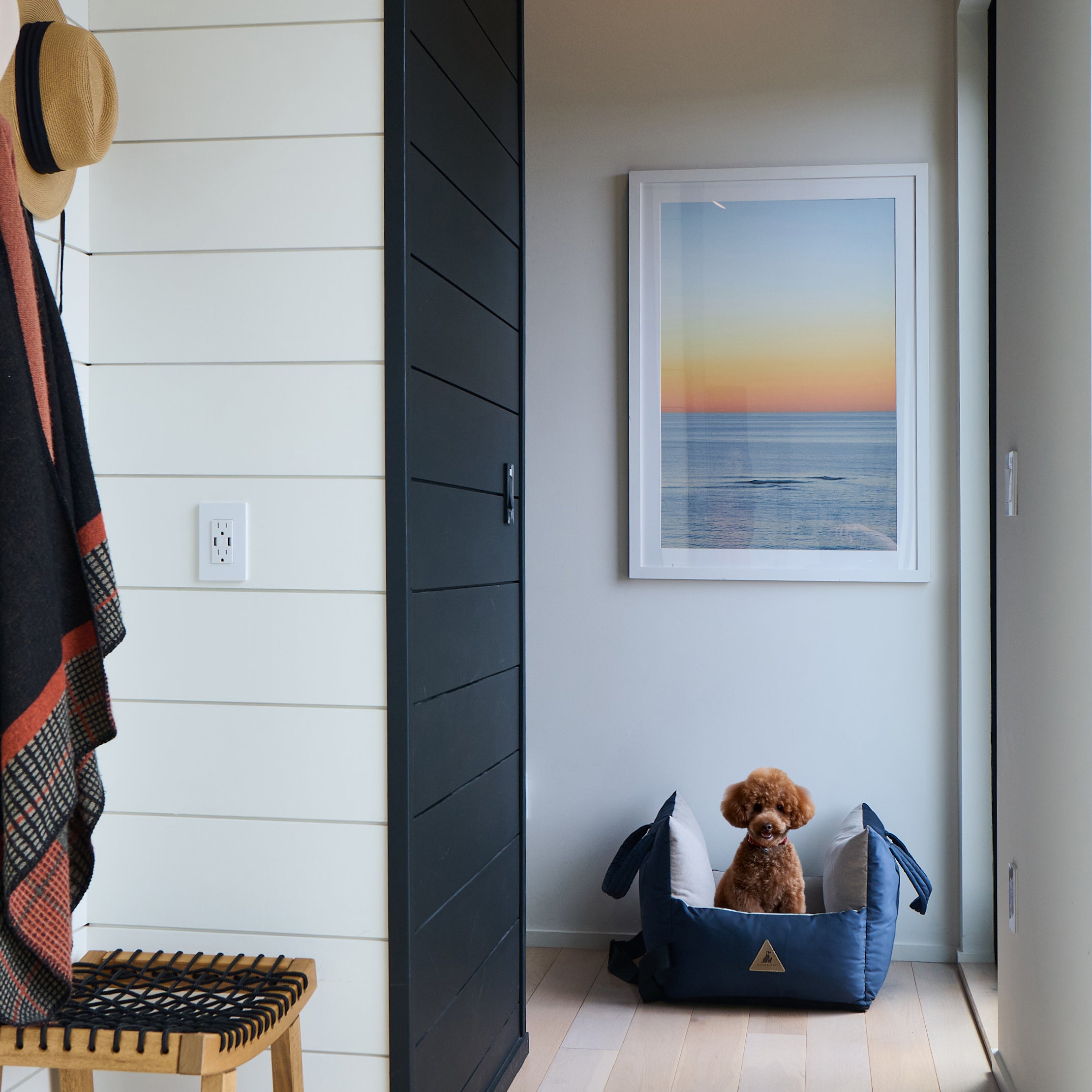 Nooee Pet Car Seat Charlie