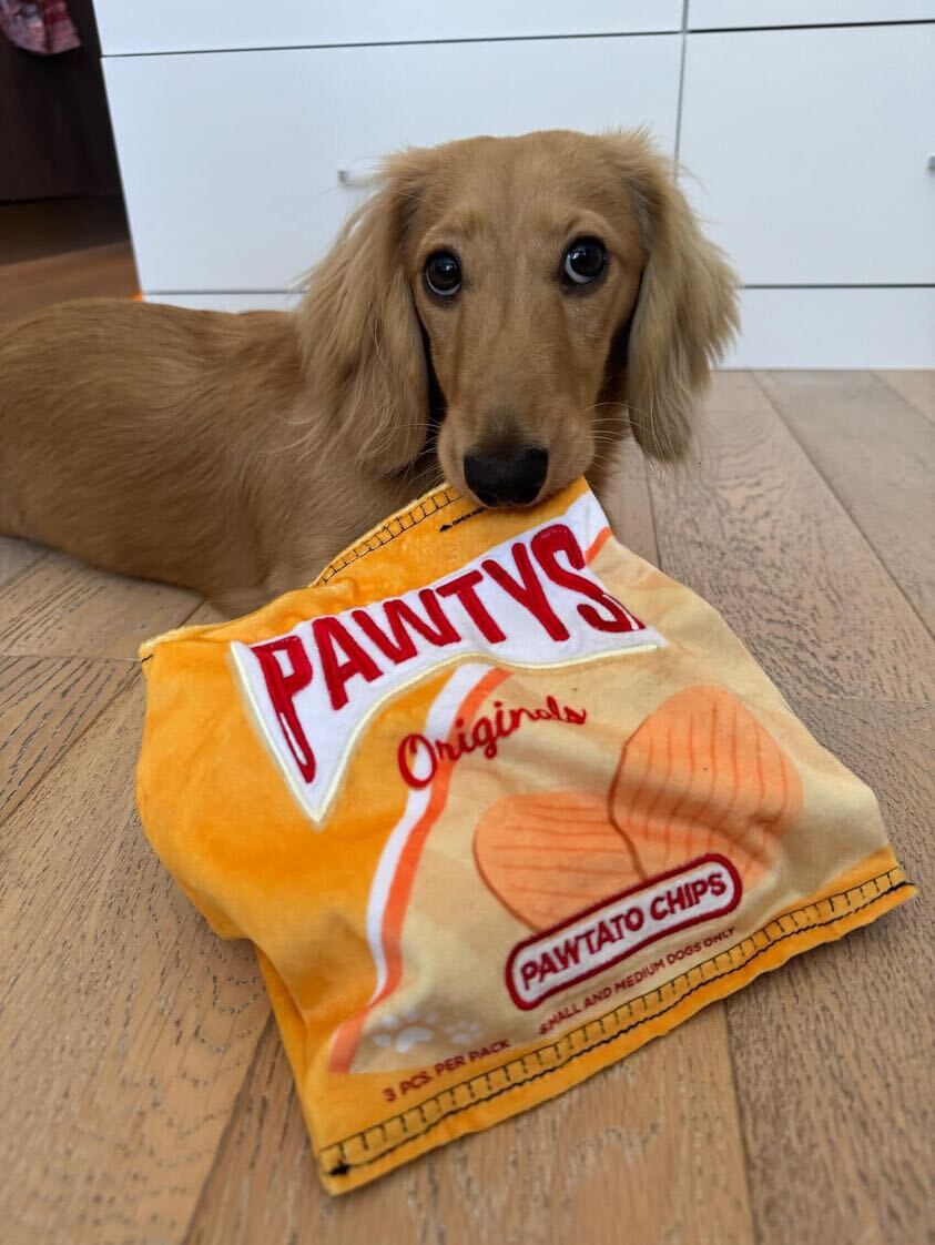 Pawty Pawtato Chips Plush Squeaky Dog Toy