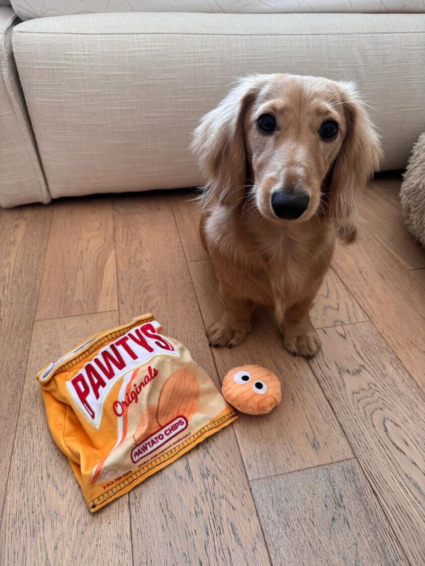 Pawty Pawtato Chips Plush Squeaky Dog Toy