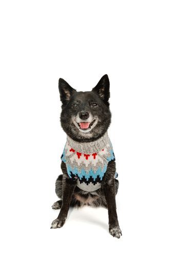 Chilly Dog Gray Chevron Wool Dog Sweater