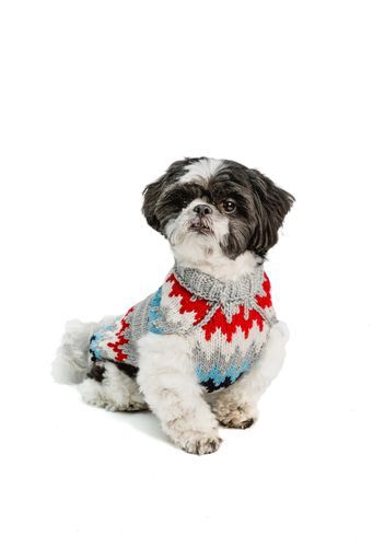 Chilly Dog Gray Chevron Wool Dog Sweater