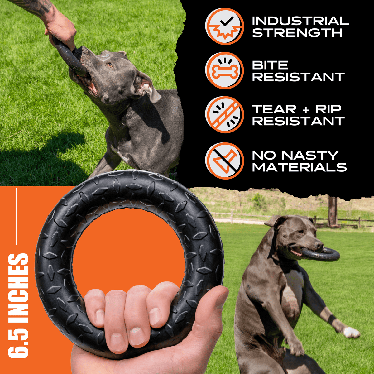 Chew Ring | HT Animal Supply