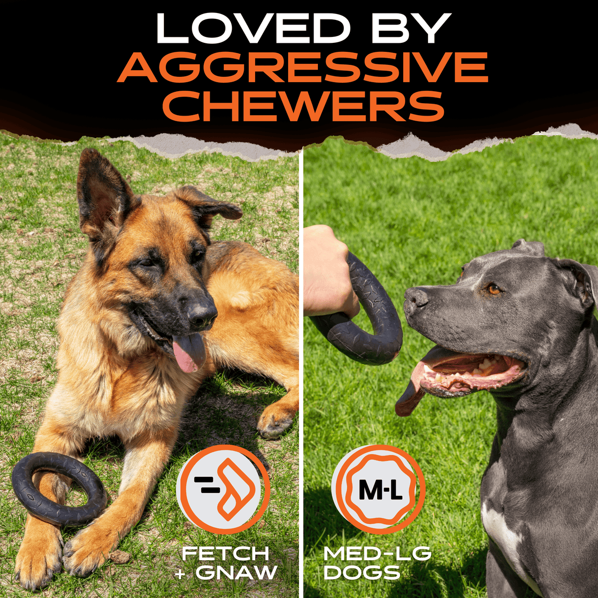 Chew Ring | HT Animal Supply