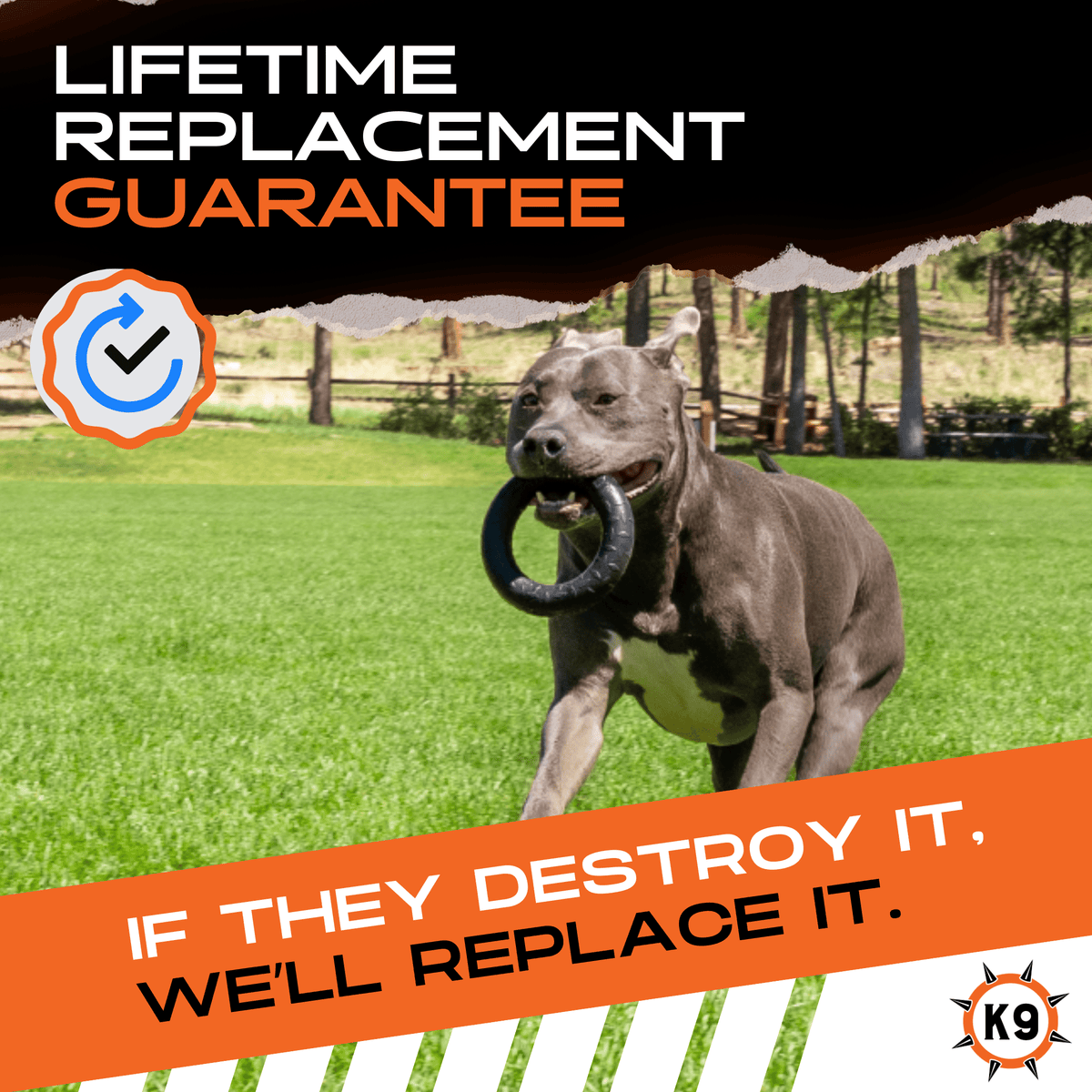 Chew Ring | HT Animal Supply