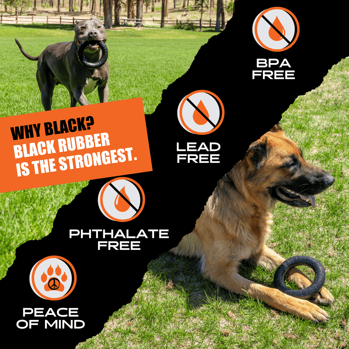 Chew Ring | HT Animal Supply