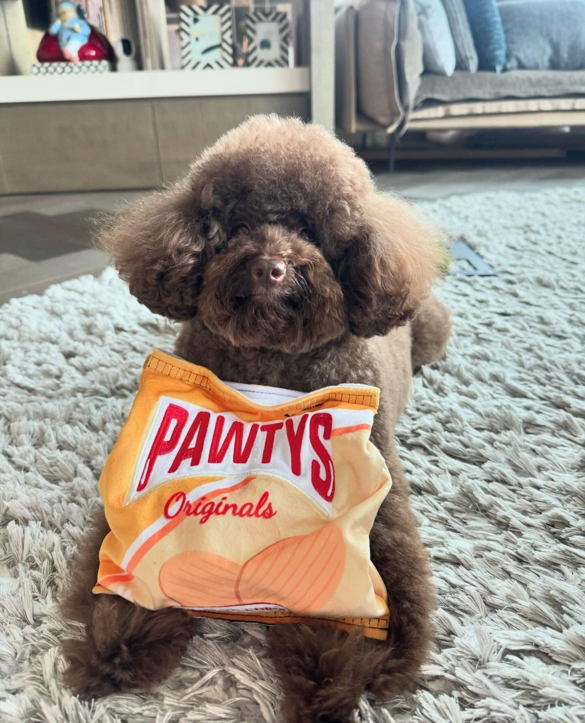 Pawty Pawtato Chips Plush Squeaky Dog Toy