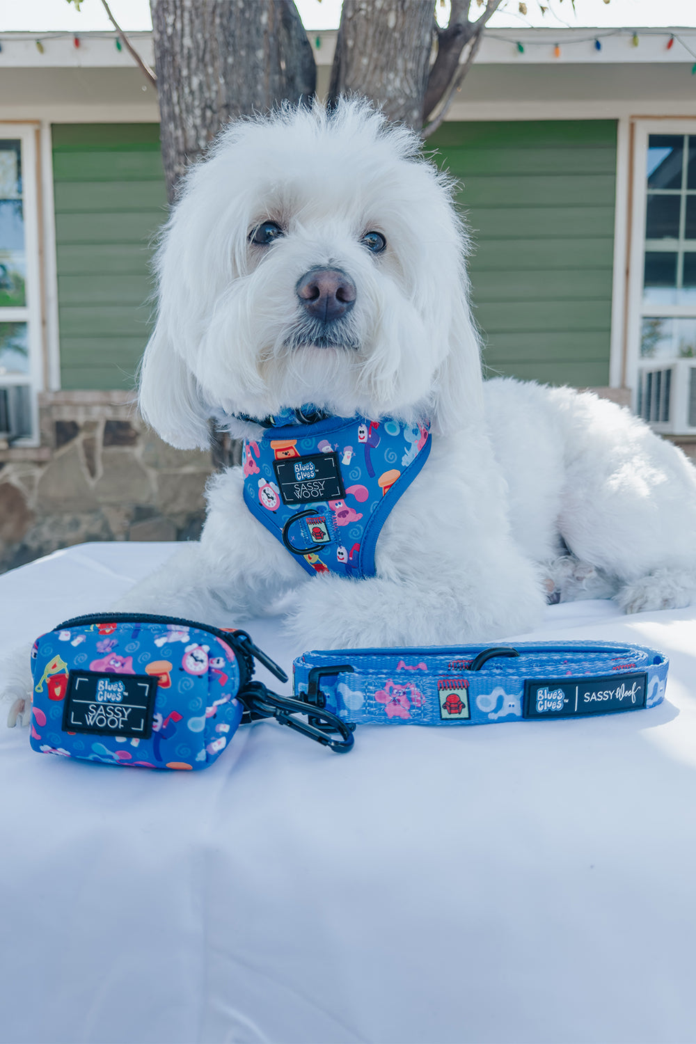 Dog Adjustable Harness - Blues Clues™