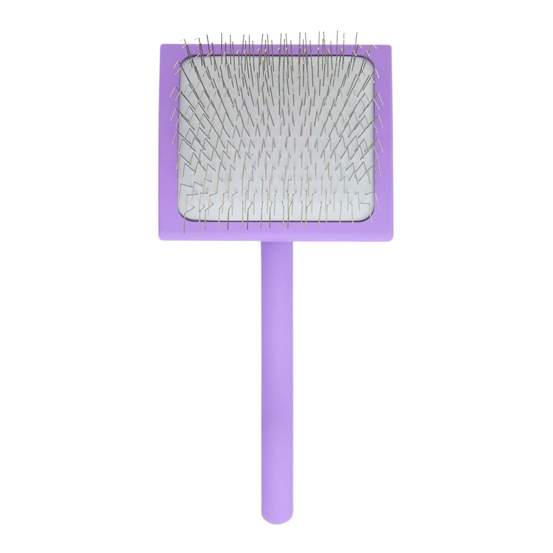 Big A Slicker Brush Large/Purple by Chris Christensen