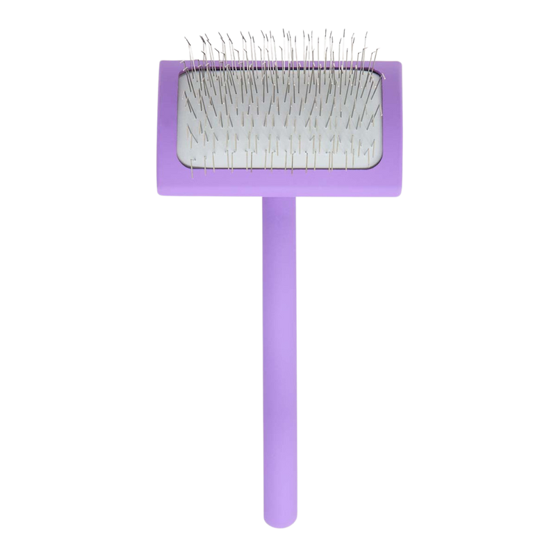 Big A Slicker Brush Medium/Purple by Chris Christensen
