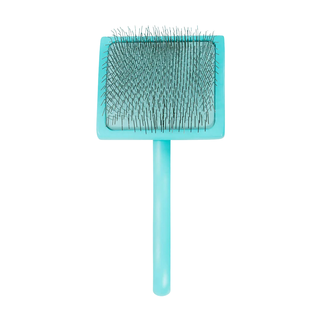 Large Home Care Big Brush G Teal Slicker by Chris Christensen