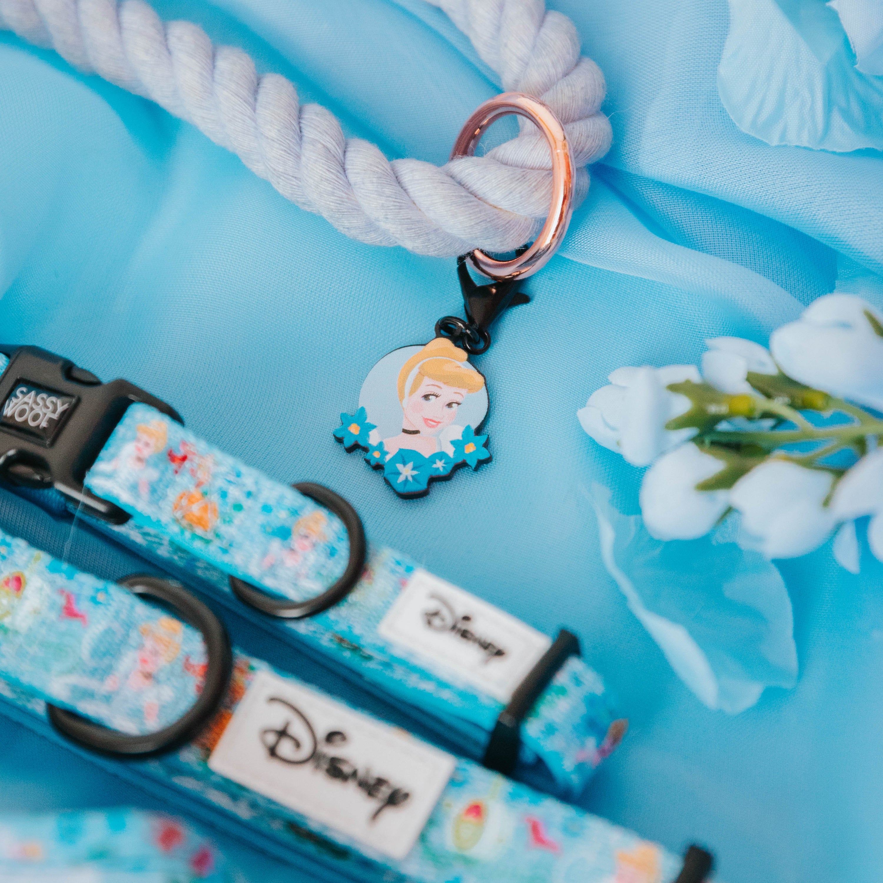 Dog Rope Leash - Disneys Cinderella