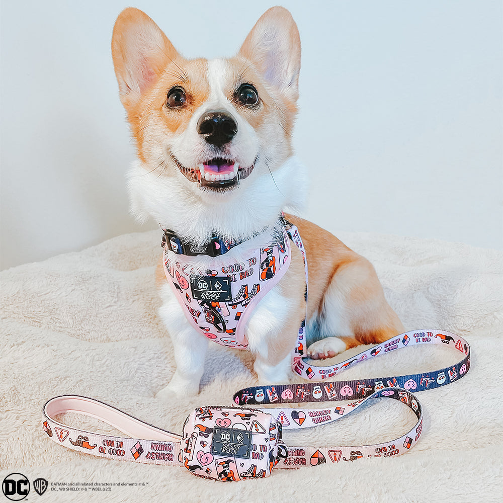 Dog Adjustable Harness - Harley Quinn™