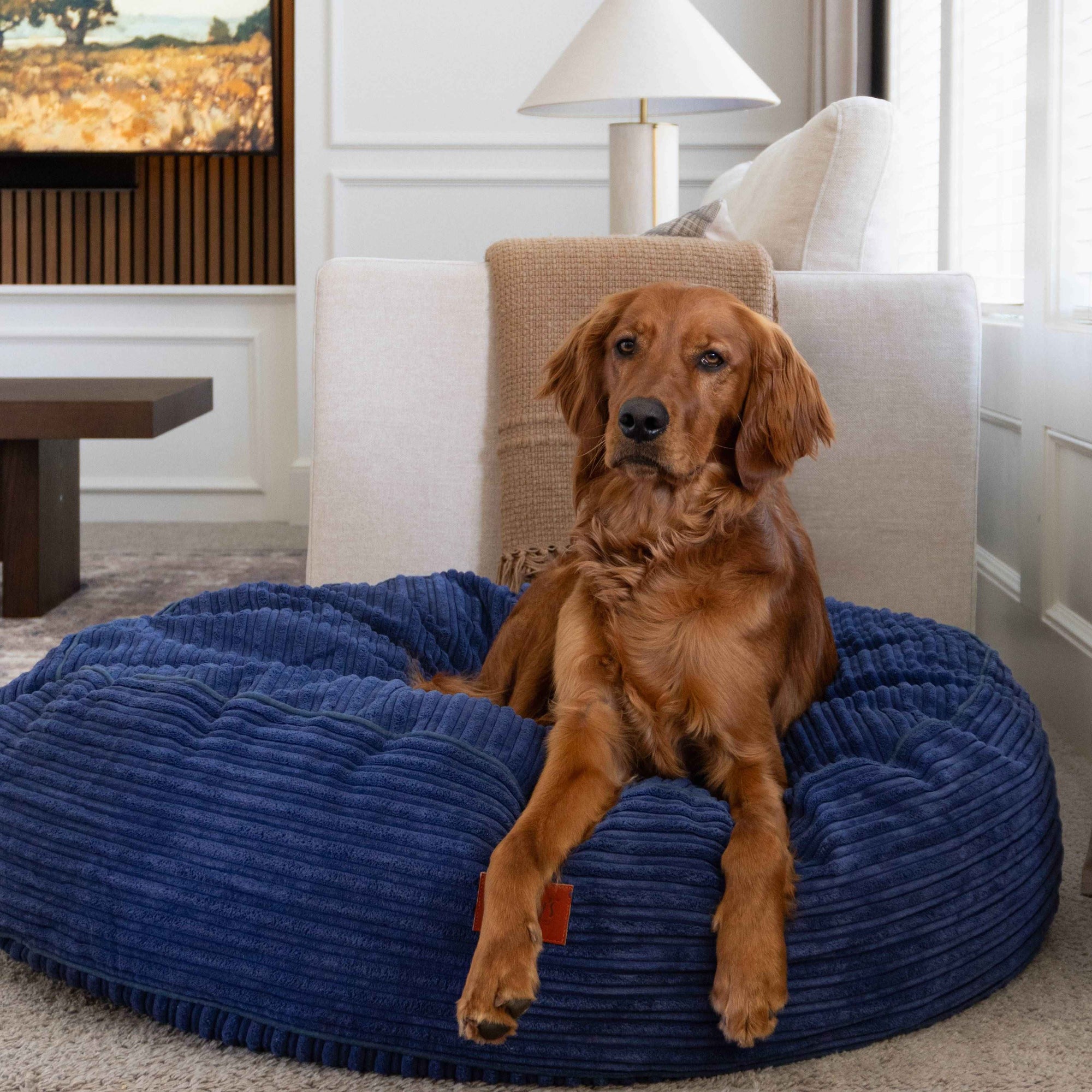 CordaRoys 40-Inch Waterproof Terry Corduroy Dog Bed