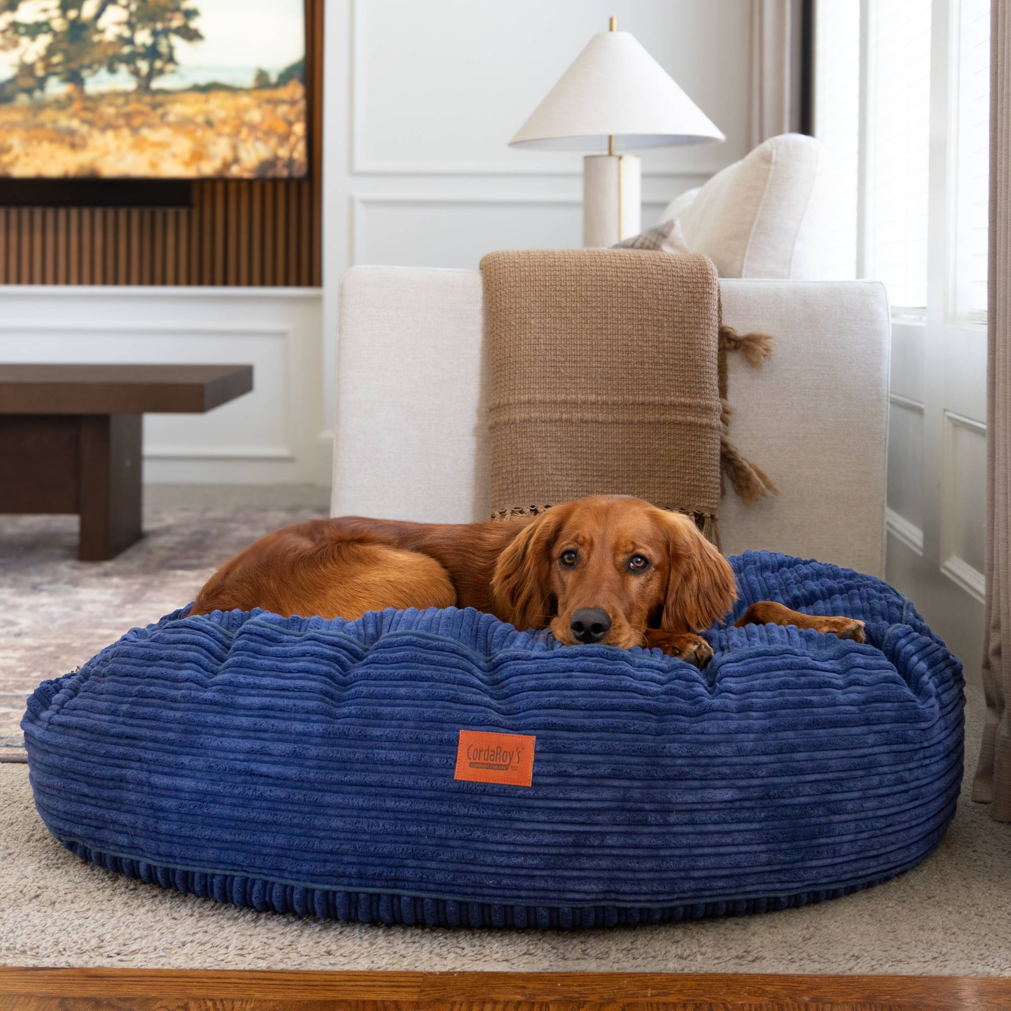 CordaRoys 40-Inch Waterproof Terry Corduroy Dog Bed