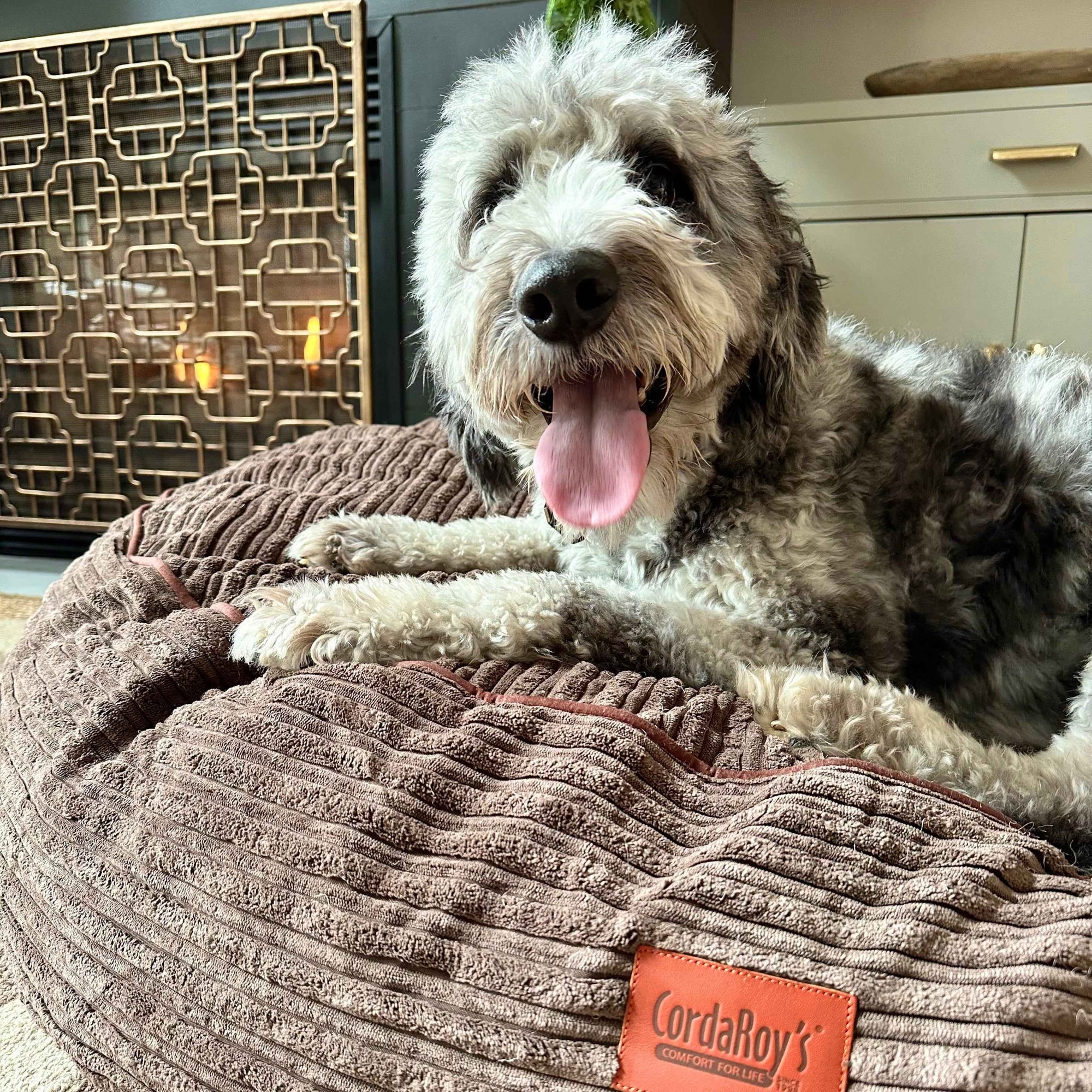 CordaRoys 40-Inch Waterproof Terry Corduroy Dog Bed