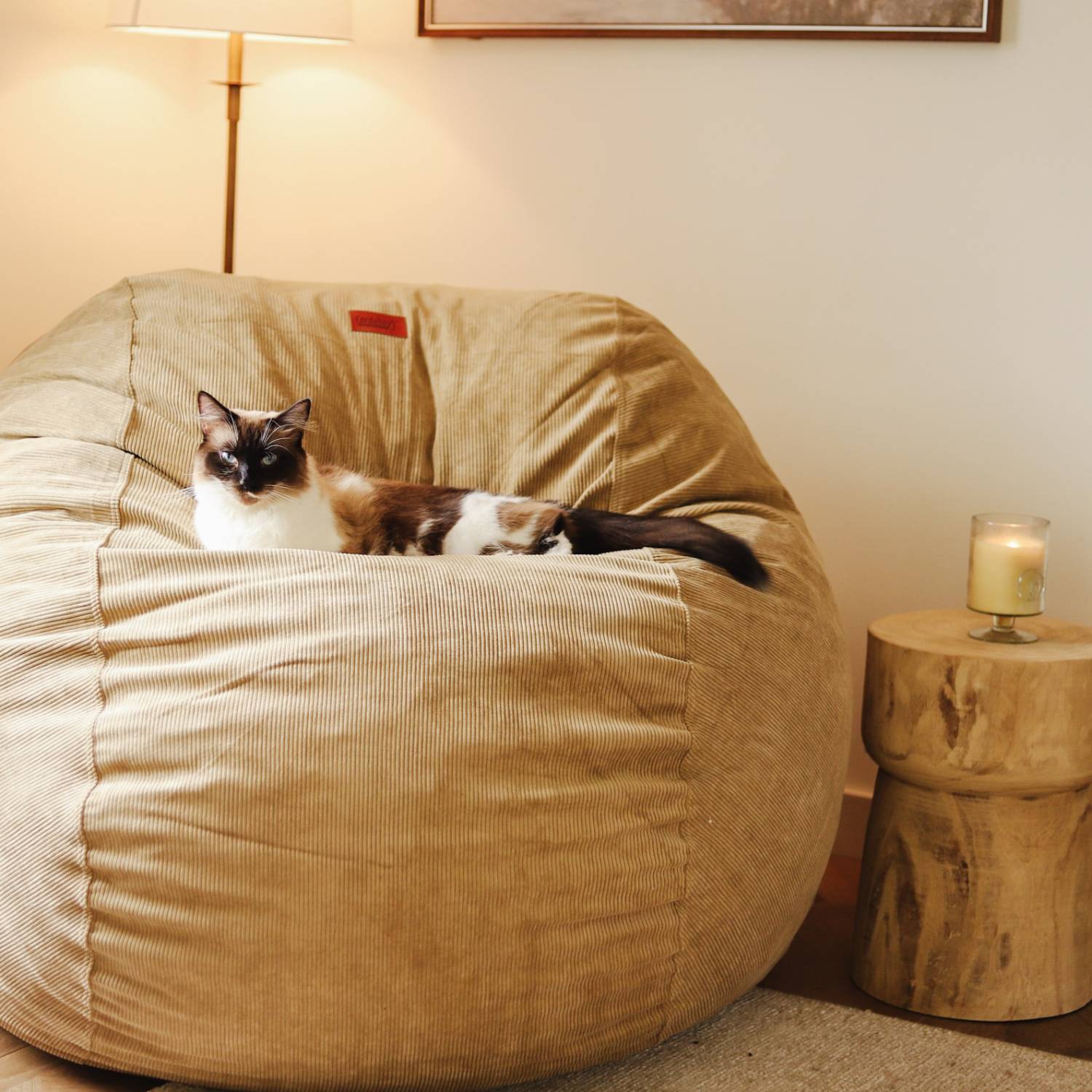 CordaRoy's Full Corduroy Convertible Bean Bag Chair