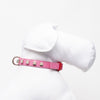 Glam Bi-Color-Collar
