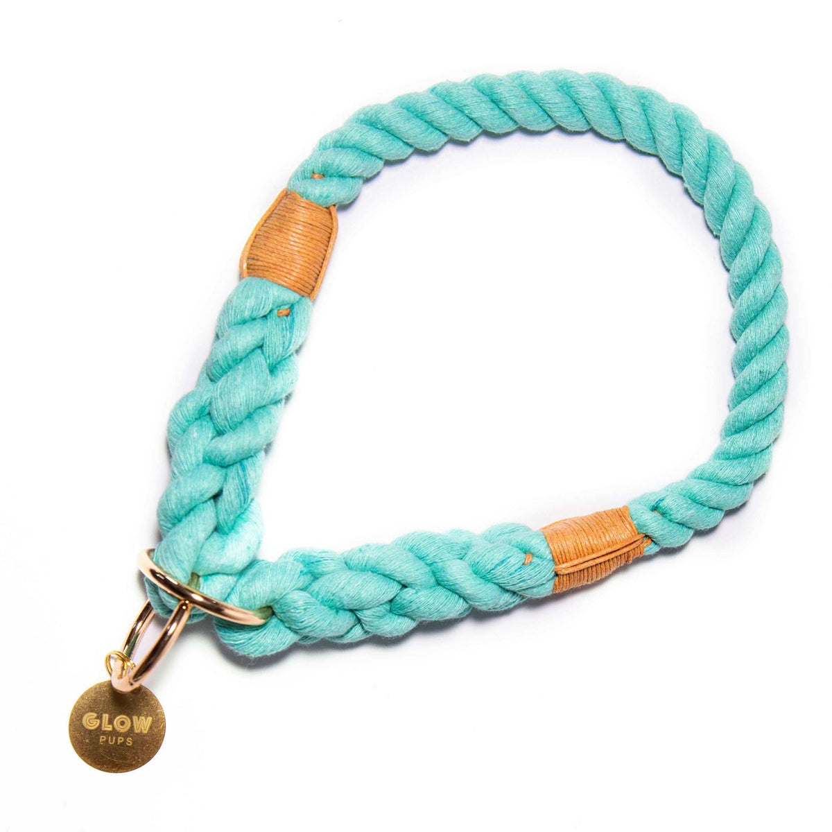 Glow Pups: Turquoise Stylish Rope Slip Dog Collar