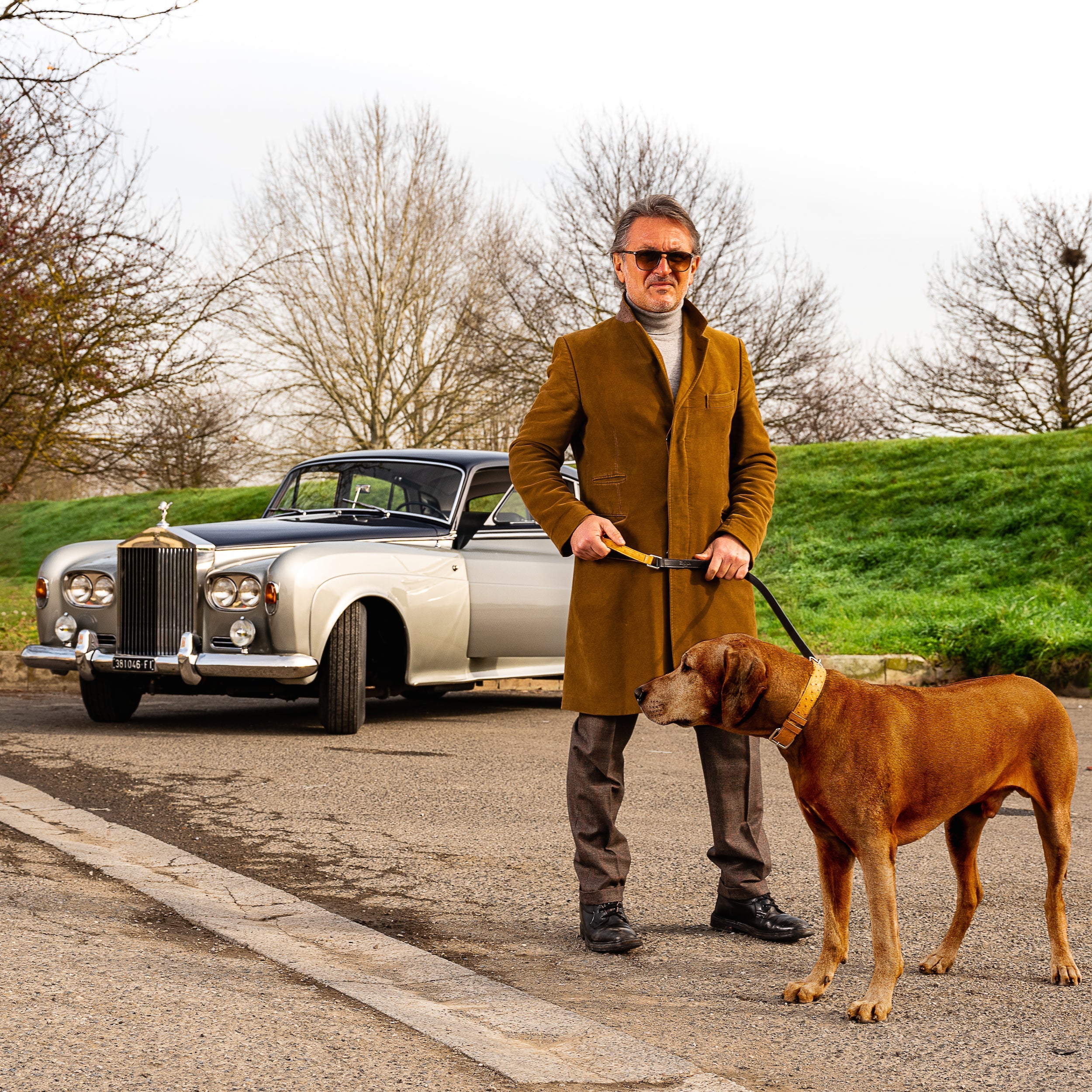 Havana Ostrich-Collar